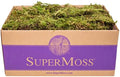 SuperMoss 21533 Forest Moss, Appx. 3 lb Bulk Case, Natural Dried by SuperMoss