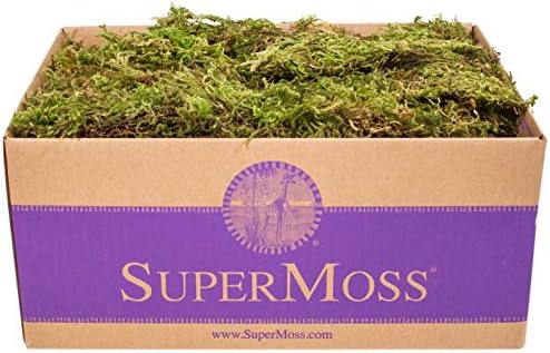 SuperMoss 21533 Forest Moss, Appx. 3 lb Bulk Case, Natural Dried by SuperMoss