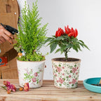 Sungmor 5.5 Inch Ice Crackle Glaze Ceramic Planter - 2 Pack Pink & Red - Image 3