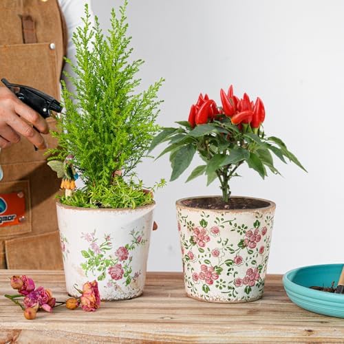 Sungmor 5.5 Inch Ice Crackle Glaze Ceramic Planter - 2 Pack Pink & Red - Image 3
