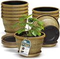 10-Inch Whiskey Barrel Planters Outdoor Pack of 10 - Durable Plastic Plant Pots for Indoor & Outdoor Use with Drainage & Saucer, Lightweight Rustic Barrel Planters for Flowers, Herbs & Small Plants by LIFEMASTER