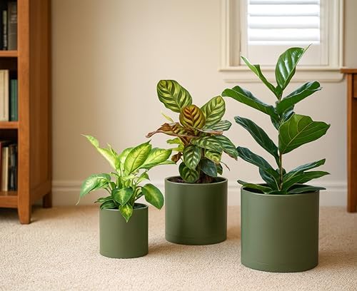 D'vine Dev 3-Pack Plastic Pots & Saucers, 6.5/8/10 in, Olive, 74-V-I-4 - Image 2