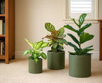D'vine Dev 3-Pack Plastic Pots & Saucers, 6.5/8/10 in, Olive, 74-V-I-4 - Image 2