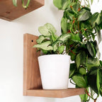 Daniel's Plants 3-Pack Mid-Century Modern L-Shaped Floating Shelves | Solid Wood Plant Ledge | Wall Mounted Shelf Kit (Prairie Sand) - Image 2