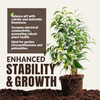 Old Potters All-Purpose Growing Media with Humus for - Heavier, Pre-moistened Planting Soil Blend with Canadian Peat Moss, Perlite, and Humus, 24 Quarts - Image 6