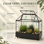 Large Tall Plant Terrarium Glass – Glass Greenhouse Terrarium with Lid and Tray,Indoor Tabletop Orchid Succulent Cacti Terrarium Kit 9.5”X9.8”X5.6” - Image 3