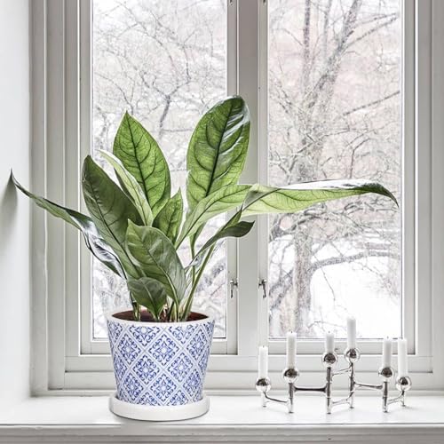 Set of 3 Decorative Plant Pots Blue and White Flower Pot, Round Ceramic Planters for Indoor Plants Pots with Drainage Hole Saucers, Retro Planter Pot for Succulents Cactus Outdoor Garden, 5.5/5.7 Inch - Image 4