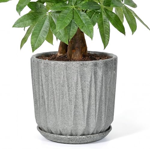 10 Inch Ceramic Planter Pot with Saucer Drainage Leak-Proof Mesh,Flower Pots for Indoor Plants with Gardening Gloves,Ceramic Planter(Stone Grey) by Unknown