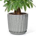 10 Inch Ceramic Planter Pot with Saucer Drainage Leak-Proof Mesh,Flower Pots for Indoor Plants with Gardening Gloves,Ceramic Planter(Stone Grey) by Unknown