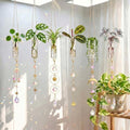6 Pcs Plant Propagation Station Colorful Crystal Suncatcher, Handmade Boho Rooting Vase, Hanging Window Plant Propagator Stations Suncatcher with Chain Pendant Ornament Balls by Ferrochef
