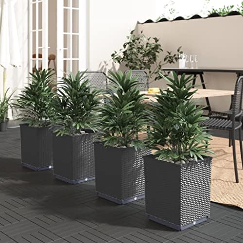 Planter Set of 4 Black Polypropylene Medium Decorative Inlays Succulent pots Geometric Design pots Cactus potsGeometric planters for Indoor Backyard by Unknown