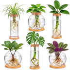 Honeydak 6 Pcs Plants Propagation Stations with Wooden Lid and Bamboo Stand by Honeydak