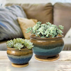 8 and 5.5 Inch Succulent Pot with Drainage and Saucer Glazed Terracotta Round Ceramic Succulent Planter Cactus Bonsai Plant Pot (Brown and Green) - Image 2