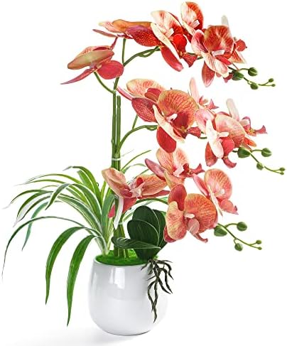 W&W Artificial Orchid Plants and Flowers with Vase, Fake Faux Orchid in Ceramic Pot,19”, Orange by WWHomeDecor