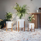 EverNest Claire Minimalist White Plant Pot with Kinsley Wood Stand, Indoor Mid-Century Planter, SelectBase, Modern Plant Holder, Boho Style Home Décor Pots (Set of 3) - Image 2