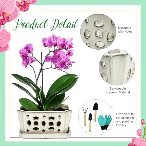 Teenyyou 9.5" Orchid Pot Ceramic with Hole Saucer for Repotting, White - Image 3