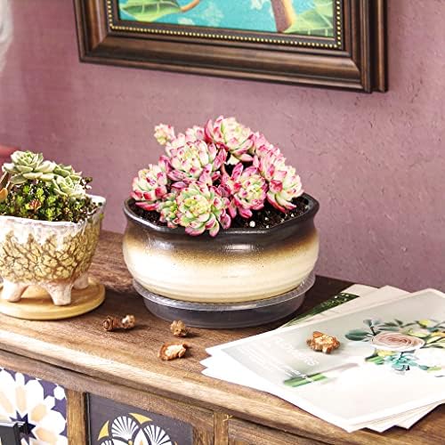 8 Inch Succulent Pot with Drainage and Saucer Glazed Terracotta Round Ceramic Succulent Planter Cactus Bonsai Plant Pot (White and Black) - Image 5