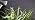 SANSI Grow Lights for Indoor Plants, 20W Clip-On Gooseneck LED Plant Lights - Image 7