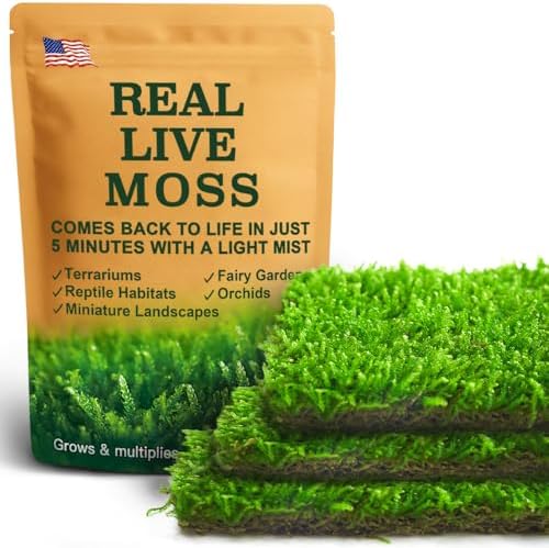 Live Moss – Hypnum Moss (3 Sheets, Each Approx. 3.5"x7") for Terrariums, Fairy Gardens, Bonsai & Natural Plant Decor – Naturally Grown, Reusable, Not Artificial by LUCKYRUNES
