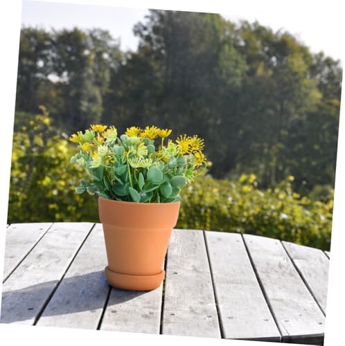 Red Terracotta Succulent Pots with Drainable Saucers, 8x8cm Clay Flower Planters for Indoor and Outdoor Gardening, 5 Sets Breathable Baked Clay Planting Containers - Image 4