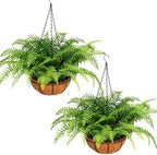 2 Set Fake Ferns with Hanging Baskets, UV Resistant Fake Hanging Ferns Plants, Outdoor Artificial Hanging Plants for Front Porch Garden Balcony Patio Home Decor, No Assembly by PABREY