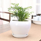 White Ceramic Plant Pots with Drainage and Saucers, Round Modern Indoor Flower Pots Set for Cactus, Succulents, Herbs, for Home, Office, Balcony (24cm*19cm) - Image 4
