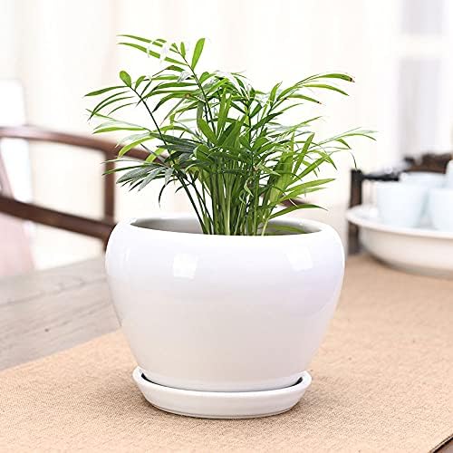 White Ceramic Plant Pots with Drainage and Saucers, Round Modern Indoor Flower Pots Set for Cactus, Succulents, Herbs, for Home, Office, Balcony (18.5cm*16cm) - Image 4