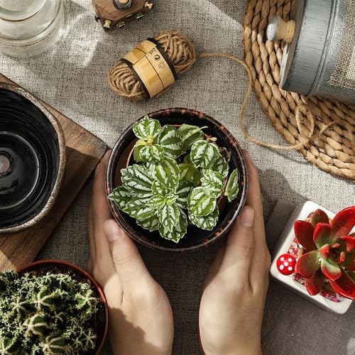 Succulent Pots, 4 Inch Small Indoor Ceramic Planter Pot with Drainage Holes and Saucers for Plants- Reactive Glaze Spot - Set of 4 - Image 4