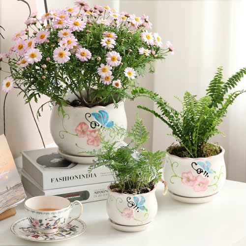Ceramic Plant Pots with Drainage Holes and Saucers, Small Planters Set of 3 - Image 2