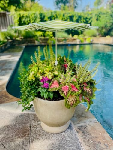 Fixed Plant Shade for Potted Plants 28" x 30" Outdoor Container Sun Shade Cover Premium Fabric Canopy with Fiberglass Frame & Soil Anchor Stripes & Solids Assembly Required by PlantCabana
