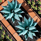 Ttranewsoo 2-Pack 13.8-Inch Artificial Agave Plants for Outdoor Planters, UV Resistant Fake Agave Plants, Faux Succulent Greenery for Porch, Patio, Garden, Entryway and Indoor Decor, Blue by Ttranewsoo