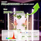 SPECILITE Hydroponics Growing System Kit with Grow Light, 5 Tiers 20 Pods - Image 3