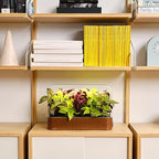 edn Indoor Smart Garden with Basil SeedPods for iOS Devices - Image 4