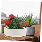Ceramic Succulent Pot with Tray, White round Planter for Small Plants - Image 4