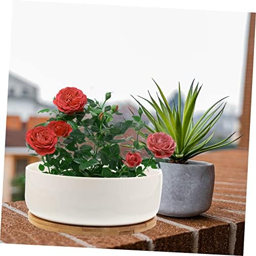 Ceramic Succulent Pot with Tray, White round Planter for Small Plants - Image 4