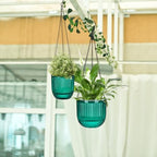 4 Pcs 6.5'' 4.5'' Hanging Self Watering Pot for Indoor Plant, Green - Image 6