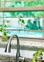2 Willow Window Plant Propagator- Window Propagation Station | Removable Glass Test Tubes for Indoor Clippings, Cut Flowers, Herbs, Succulents | Home Decor | (2 Willow) - Image 7