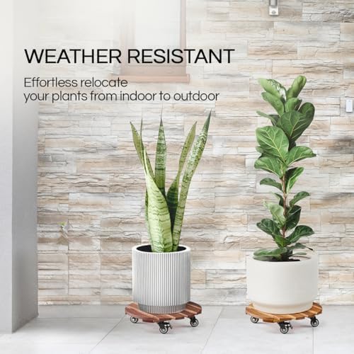 THYOI 2 Pack 14" Acacia Wood Plant Caddy with Lockable 360° Brown - Round - Image 6