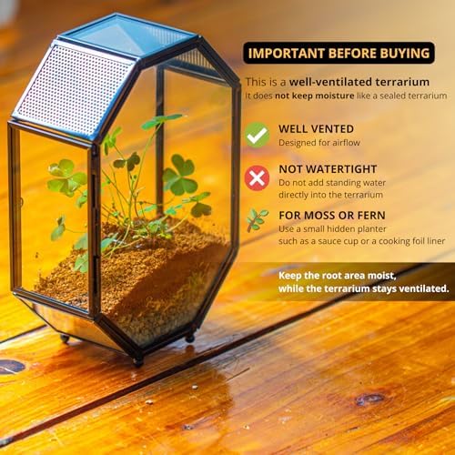 NCYP Mini Vented Glass Terrarium with Vent and Door for Jumping Spiders - Octagon Small Spider Enclosure, Black, Tabletop Decor, 5 x 2.3 x 7 Inches (Terrarium Only) - Image 3