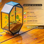 NCYP Mini Vented Glass Terrarium with Vent and Door for Jumping Spiders - Octagon Small Spider Enclosure, Black, Tabletop Decor, 5 x 2.3 x 7 Inches (Terrarium Only) - Image 3