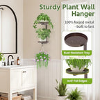 LASZOLA Plant Hanger Holder Window Shelf Wall Mounted Indoor, 2 Pcs Bronze - Image 4