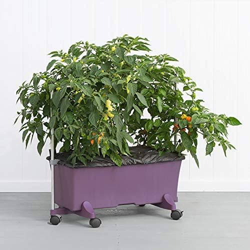 EarthBox 81036.06 System, Eggplant, 3 ft. Garden Stakes, 3-Foot - Image 4
