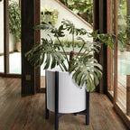 D'vine Dev Plastic Pot with Ebony Wood Stand, White, 16 in, 55-C-Z-1 - Image 2