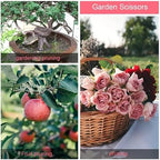 Pruning Shears Flowers Herbs Bonsai and Grass Scissors Premium Houseplant Scissors for Cutting Flowers Hand Tools - Image 3