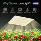 VIVOSUN LumaLight 100W LED Grow Light, Full Spectrum Plant Light, Smart Dimmable & High PPFD for Indoor Plants Seedling Vegetables Bloom, Fits 2×2/2×4 Grow Tents, 2-Pack - Image 2