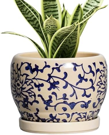 SQOWL Ceramic Flower Pots - 6 Inch Plant Pot Indoor with Drainage Hole and Saucer, Porcelain Ceramic Planter Outdoor, Decorative Round Small Planter, House Decor, Plant Lover Gifts, Blue and Beige by SQOWL