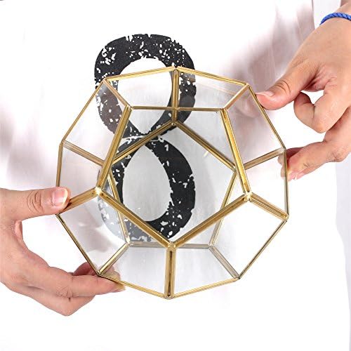 NCYP No Door Glass Terrarium for Small Cactus, Succulents - Gold Geometric Terrarium Pot, Home Office Tabletop Miniature Garden Decor, 6.8 x 6.8 x 5.9 Inches, Handmade (No Plants) - Image 4