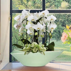 Ceramic Bonsai Pot - 18 Inch Planter with Drainage Hole Large Modern Bonsai Planter Decorative Succulent Flower Plant Pot for Indoor Plants Outdoor Green - Image 5
