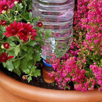 Blumat Plant Watering Device - Easy XL Self Watering Planter Insert for Indoor Plants - Bottle Adapter - Prevents Overwatering and Underwatering for Healthy Growth - 6 Pack - Image 6