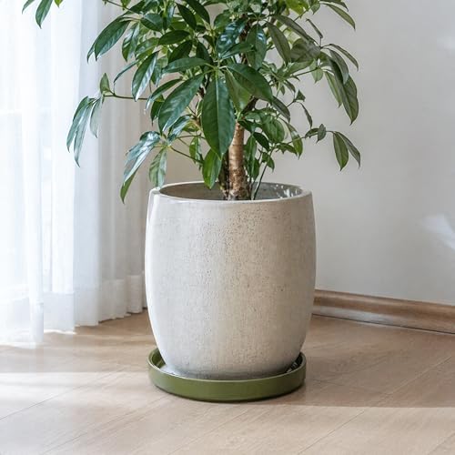 D'vine Dev Ceramic Plant Saucer/Drainage Tray, 10.4 in, Olive, 97-T-C-5 - Image 4
